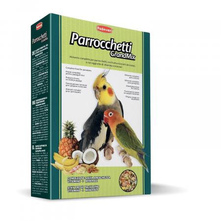 Средний попугай на zoomaugli.ru Padovan Grandmix Parrocchetti корм для средних попугаев 850 г