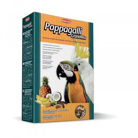 Крупный попугай на zoomaugli.ru Padovan Grandmix Pappagalli корм для крупных попугаев 600 г